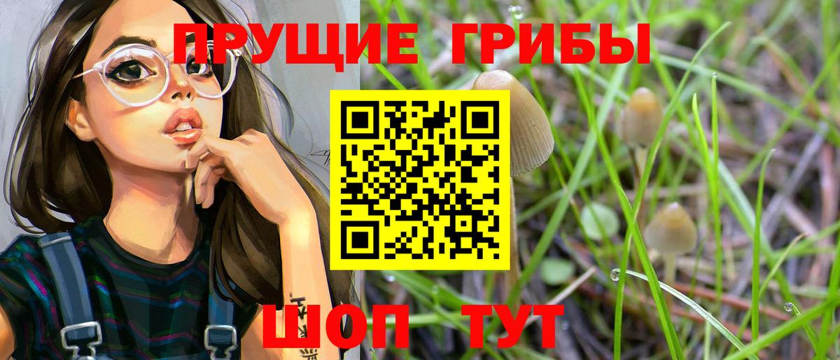 Избербаш  Псилоцибиновые грибы MAGIC MUSHROOMS  Вход с VPN 